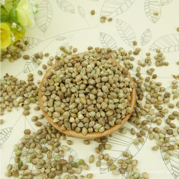Precio de semillas de cáñamo de plástico seco